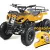 Детский квадроцикл бензин. motax x16 Big wheel с ручным стартером