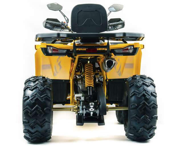 motoland wild track x pro 200 желтый 6