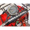 Электроквадроцикл GreenCamel Гоби K31 красный 9