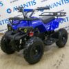 ATV CLASSIC E 800W NEW синий 3