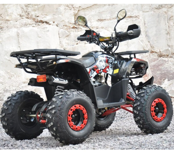 Квадроцикл Millennium ATV-125A черно красный 1