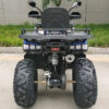 Квадроцикл TaoTao Warrior 200 LUX черно синий 5