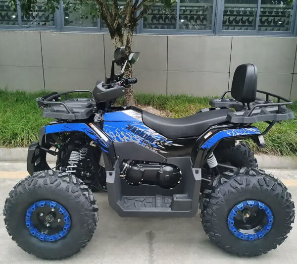 Квадроцикл TaoTao Warrior 200 LUX черно синий 7