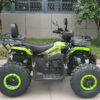 Квадроцикл TaoTao Warrior 200 LUX черно зеленый