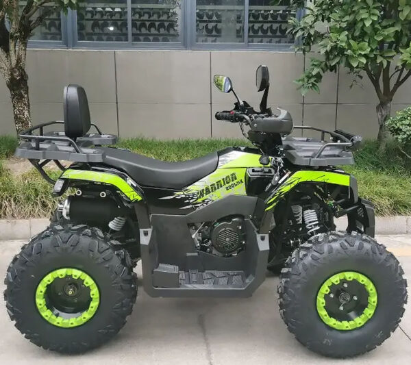 Квадроцикл TaoTao Warrior 200 LUX черно зеленый