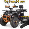 Электро-квадроцикл YACOTA SIRIUS 2000w черно-оранжевый